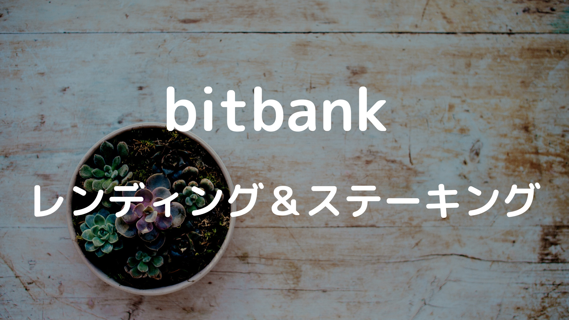 BITBANK(ビットバンク）を有効活用｜レンディングとステーキング